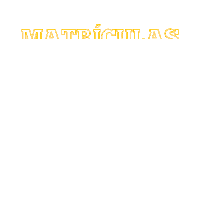 Anglotamarineira Sticker by Colégio Anglo Líder Tamarineira