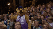bundesliga basketball dance GIF by easyCredit Basketball Bundesliga