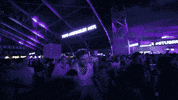 festival guy GIF by Pukkelpop