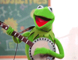 Awkward Kermit The Frog GIF by Muppet Wiki