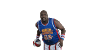 hgsticker by Harlem Globetrotters