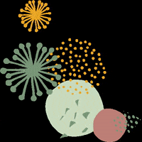 pitigaia joie fleur fete feu dartifice GIF