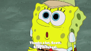 season 9 lost in bikini bottom GIF by SpongeBob SquarePants