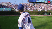 Chicago Cubs Sport GIF by MLB