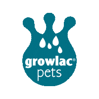 BIOZOO pets perros mascotas leche Sticker