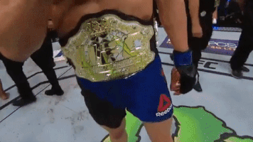 ufc 213 GIF