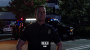 fox look GIF