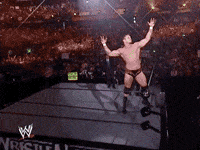 randy orton wrestling GIF by WWE