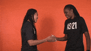 Sport Basketball GIF by WNBA