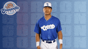 Lets Go Baseball GIF by Evansville Otters