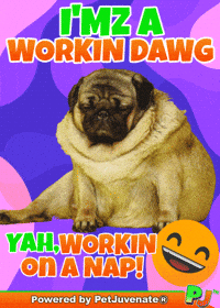 PetJuvenate petjuvenate henlo hooman fren love rescue dogs treatos and woofer for pupper GIF