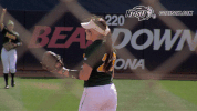 north dakota state bison GIF by NDSU Athletics