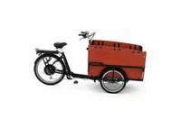 babboe_cargobike max transporter cargobike bakfiets GIF