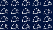 Cnws19 Addiehenry GIF by Carson-Newman Athletics