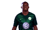 look at this jerome roussillon Sticker by VfL Wolfsburg