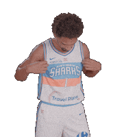 Sharksantibes Sticker by Antibes Sharks
