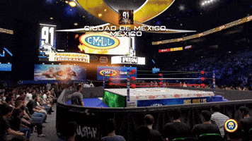 Guerrero Maya