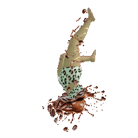 elistorycriativo coffe café mergulho cafezim Sticker