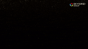 New Year Love GIF by Skywind Group