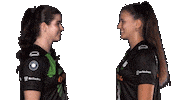 1Blf Sticker by Volleyball Bundesliga