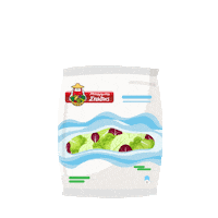 barbastathis salad lunch time iceberg well being Sticker