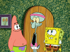 season 5 GIF by SpongeBob SquarePants