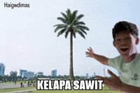 Sawit GIF