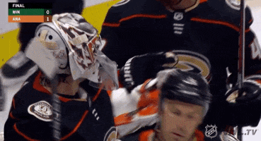 Ice Hockey Hug GIF by NHL