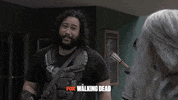 foxnederland  GIF