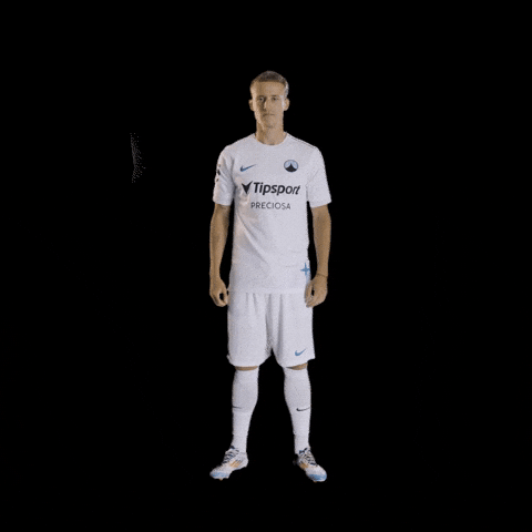 Nicolas Palecnahoru GIF by FC Slovan Liberec