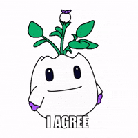 Uh Huh Yes GIF by Magic Eden
