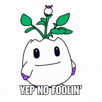 Uh Huh Yes GIF by Magic Eden