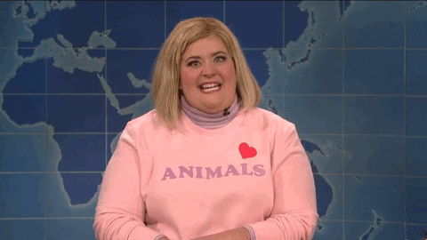 aidy bryant lol GIF by Saturday Night Live