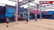 Big Brother Challenge GIF by Big Brother Australia