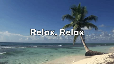 beach GIF by Tyler Menzel, GIPHY Editorial Director