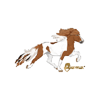 Horse Pony Sticker by Easyflix TV