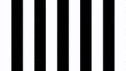 Football Win GIF by SK Sturm Graz