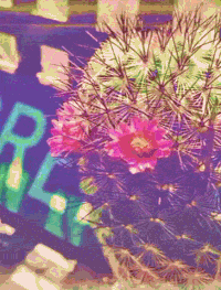 glitch internet GIF
