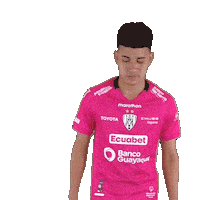 Del Valle Soccer Sticker by INDEPENDIENTE DEL VALLE