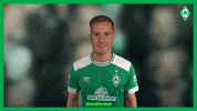 celebration goal GIF by SV Werder Bremen