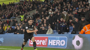 Soccer Futbol GIF by Brighton & Hove Albion Football Club