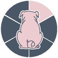 Pink Wait Sticker by Designstuuv Werbeagentur