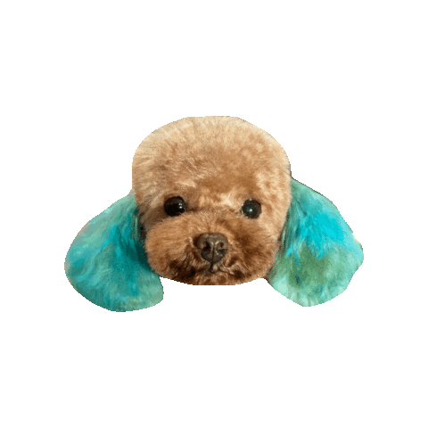 hamandbone cute dog omg blue Sticker