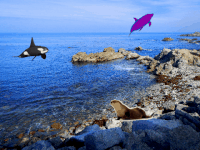 GIF by namslam