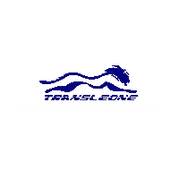 transleone transporte sustentabilidade seguranca transleone Sticker