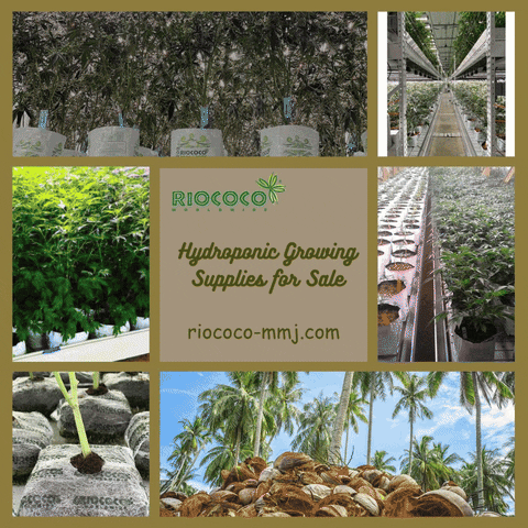 riococommjusa giphyupload GIF