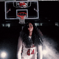 Womens Basketball Celebration GIF by Gamecock Athletics