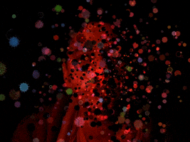Video Art GIF by Quasi Crystals