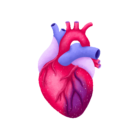 ichbinisabel giphygifmaker heart illustration health Sticker