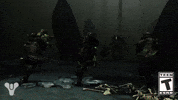 Destiny 2 Strike GIF by DestinyTheGame